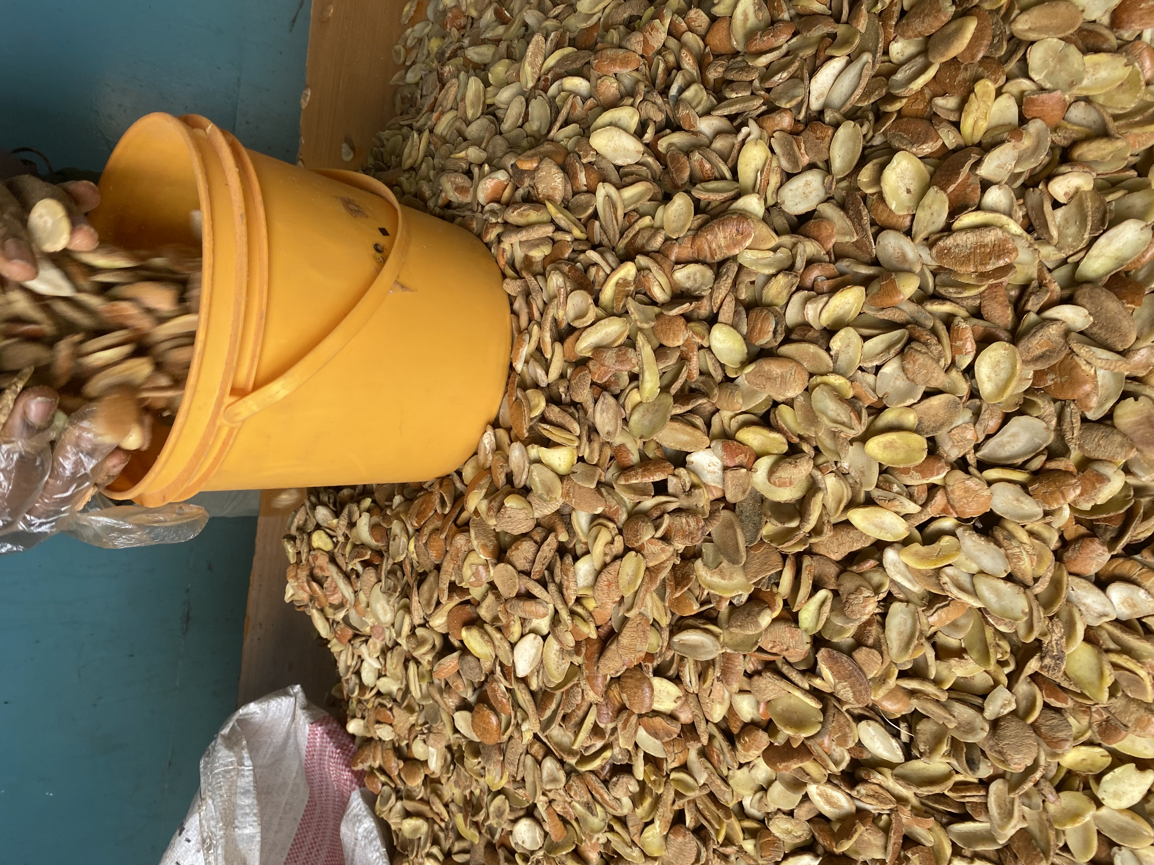 SOUP INGREDIENTS icon