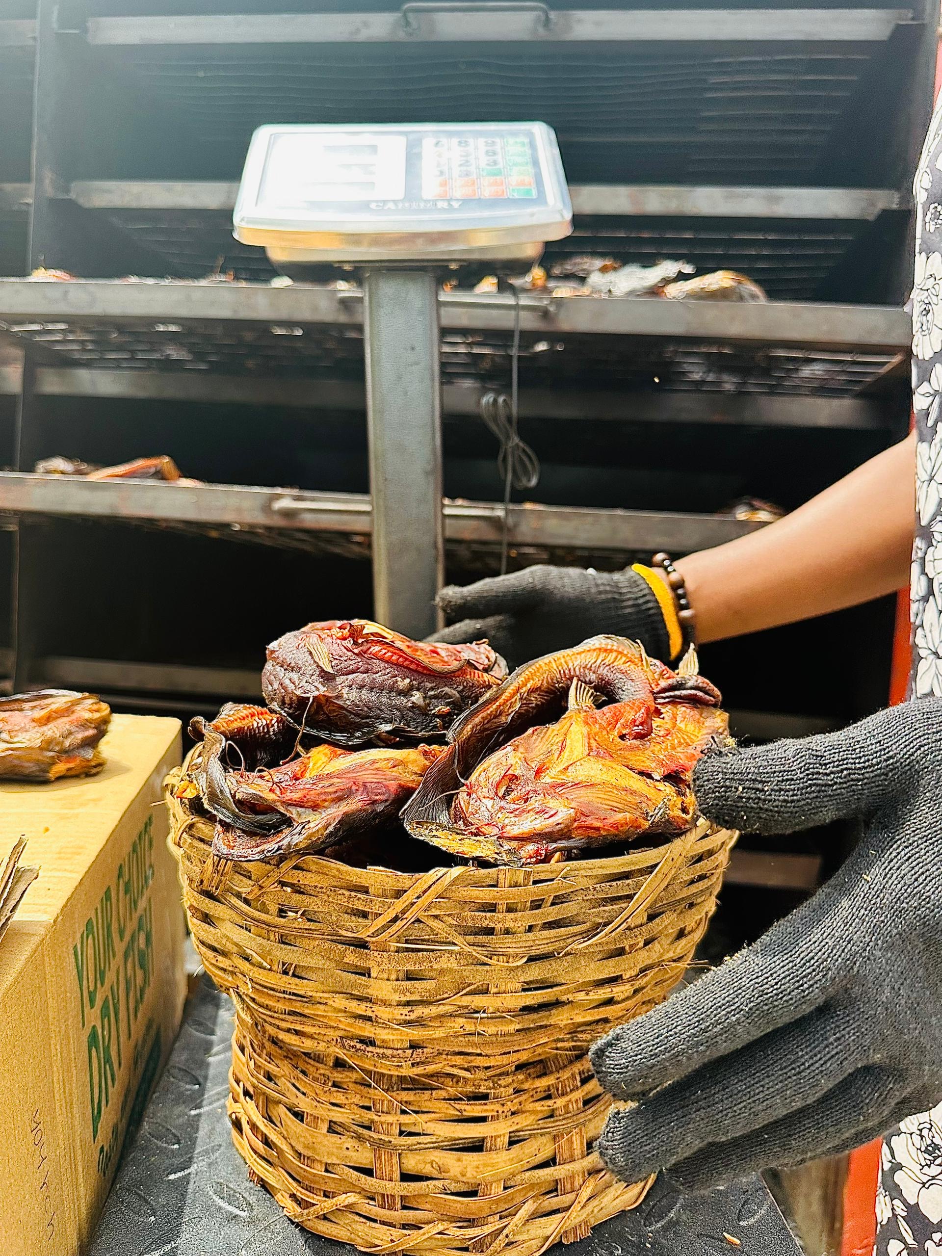 Catfish whole round - Image 7