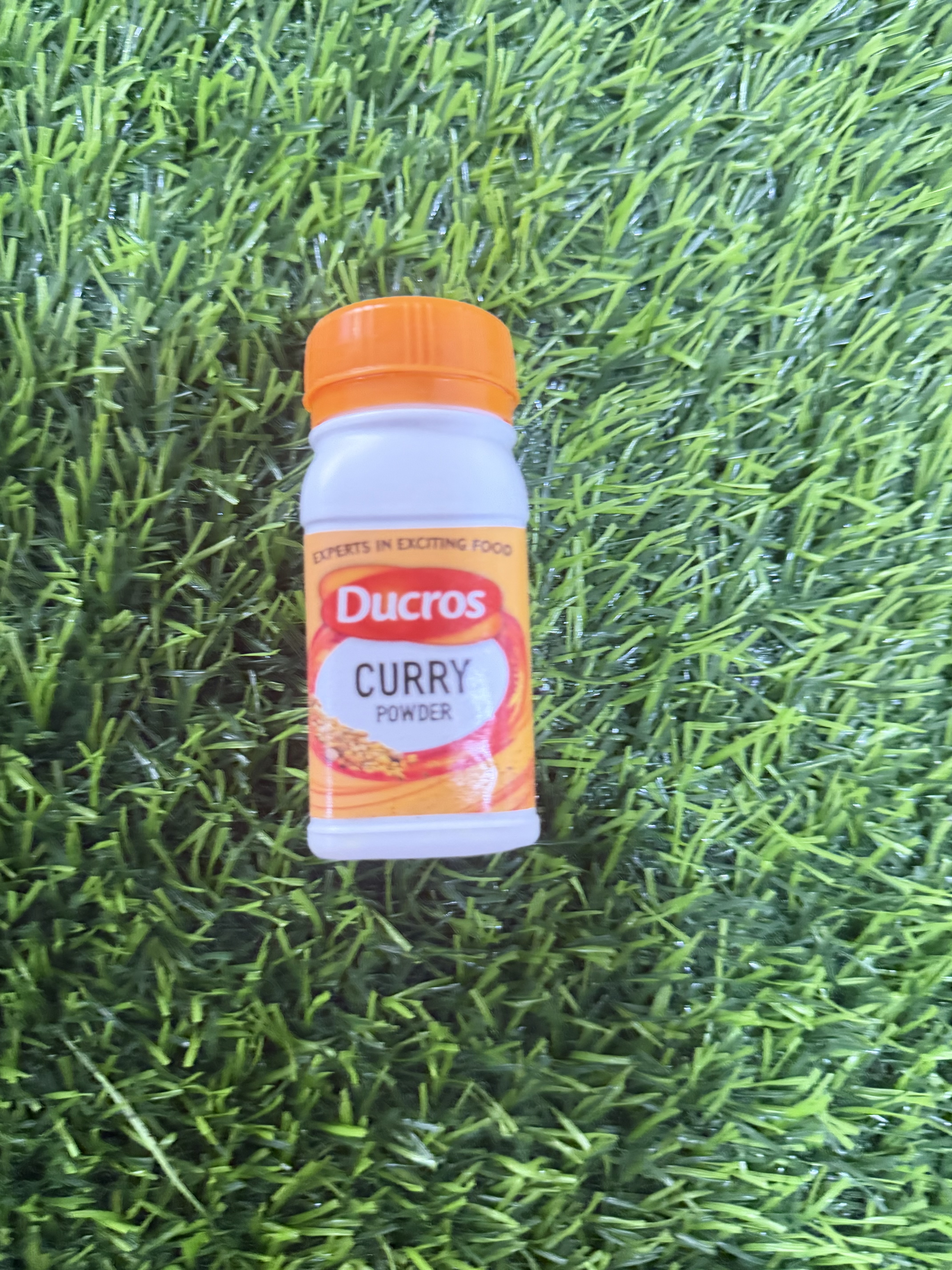 Ducros curry