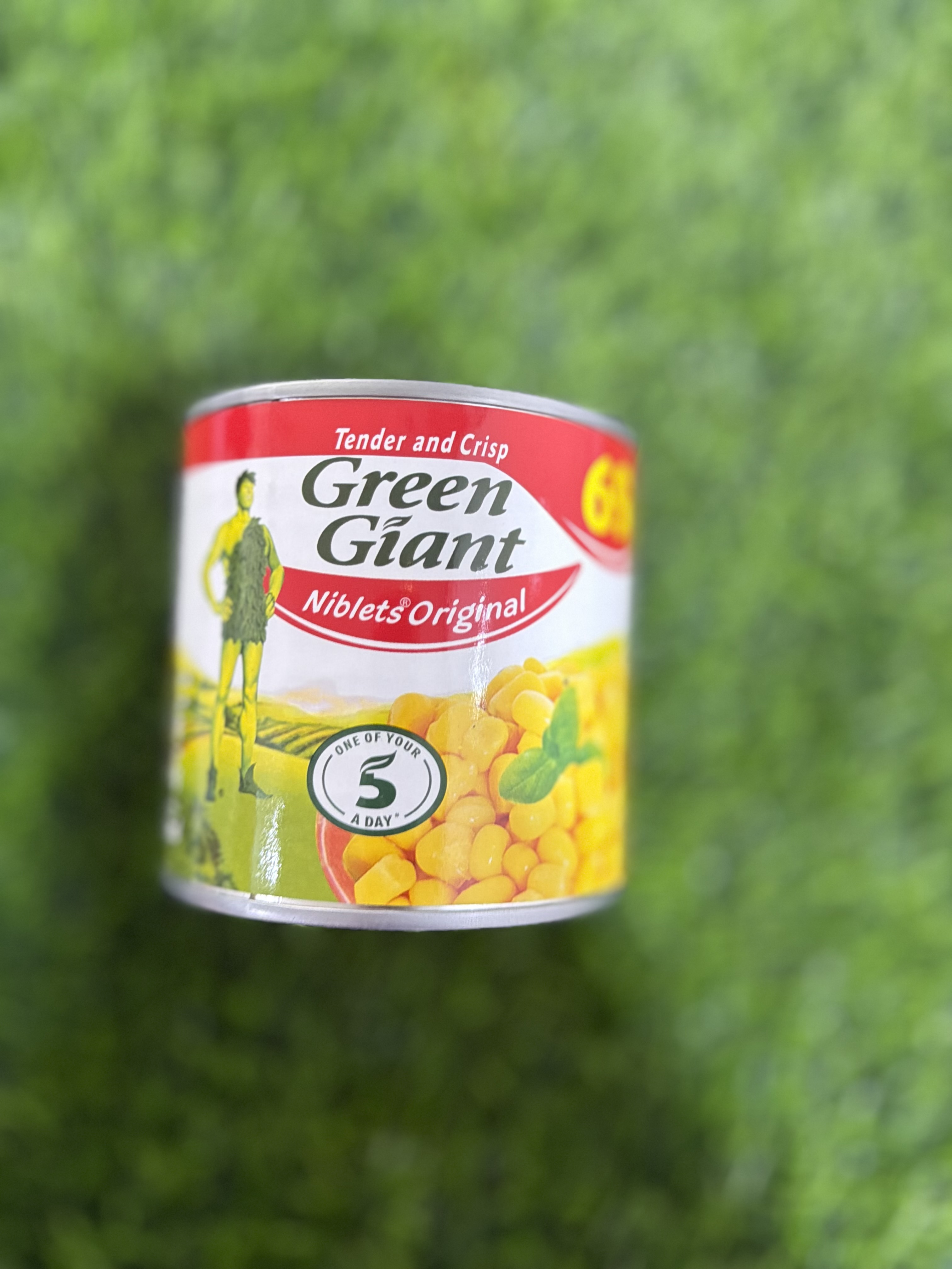 Big giant sweet corn