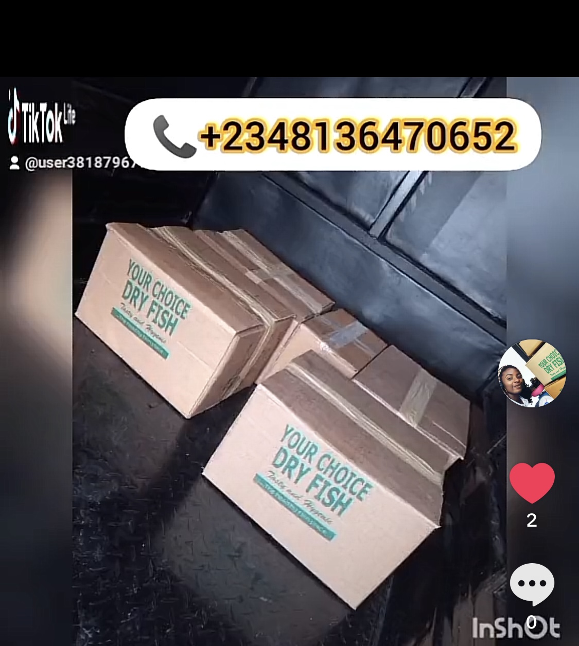 Catfish whole round - Image 9