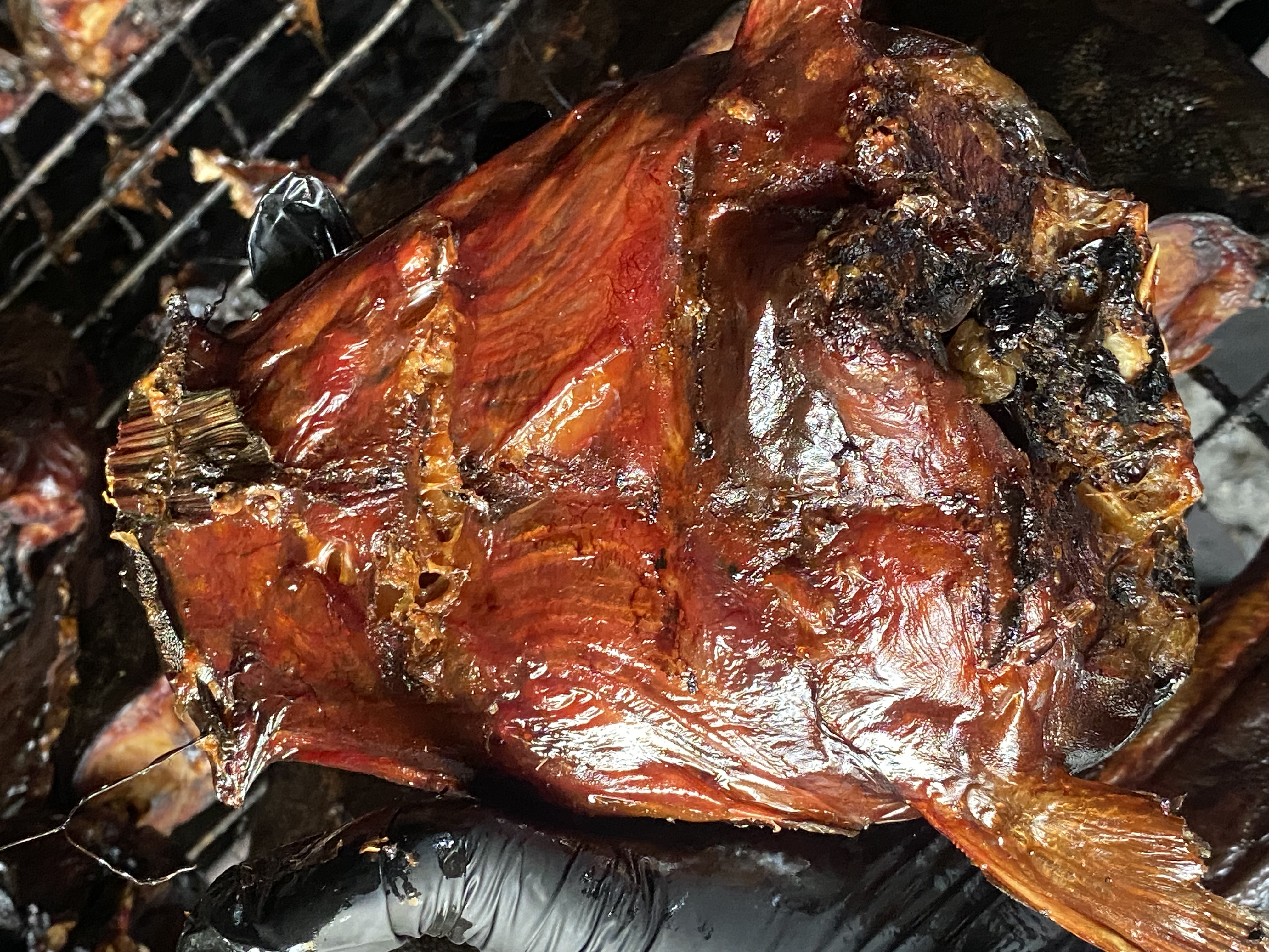 Catfish heads - Image 2