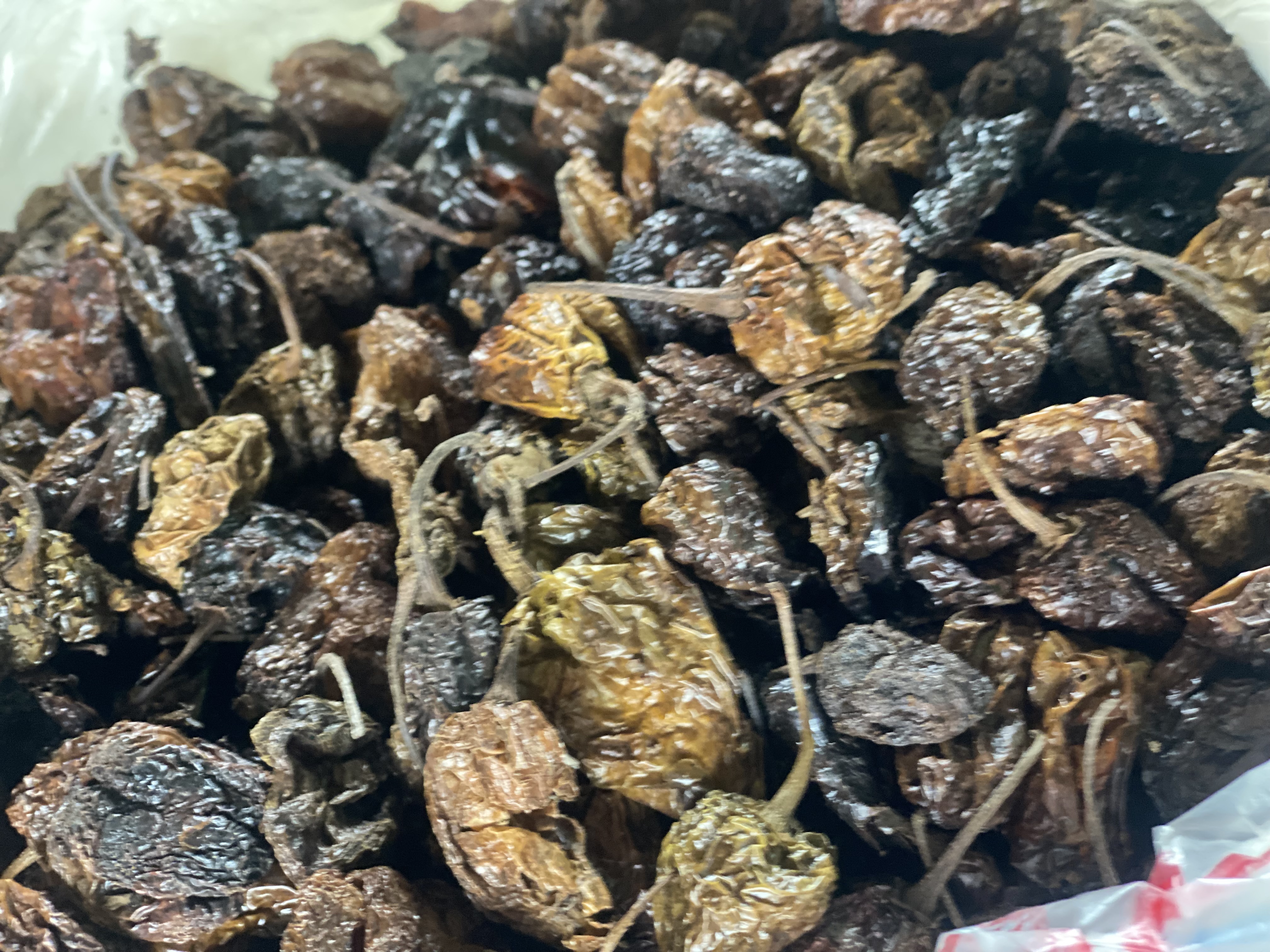 Cameroon pepper
