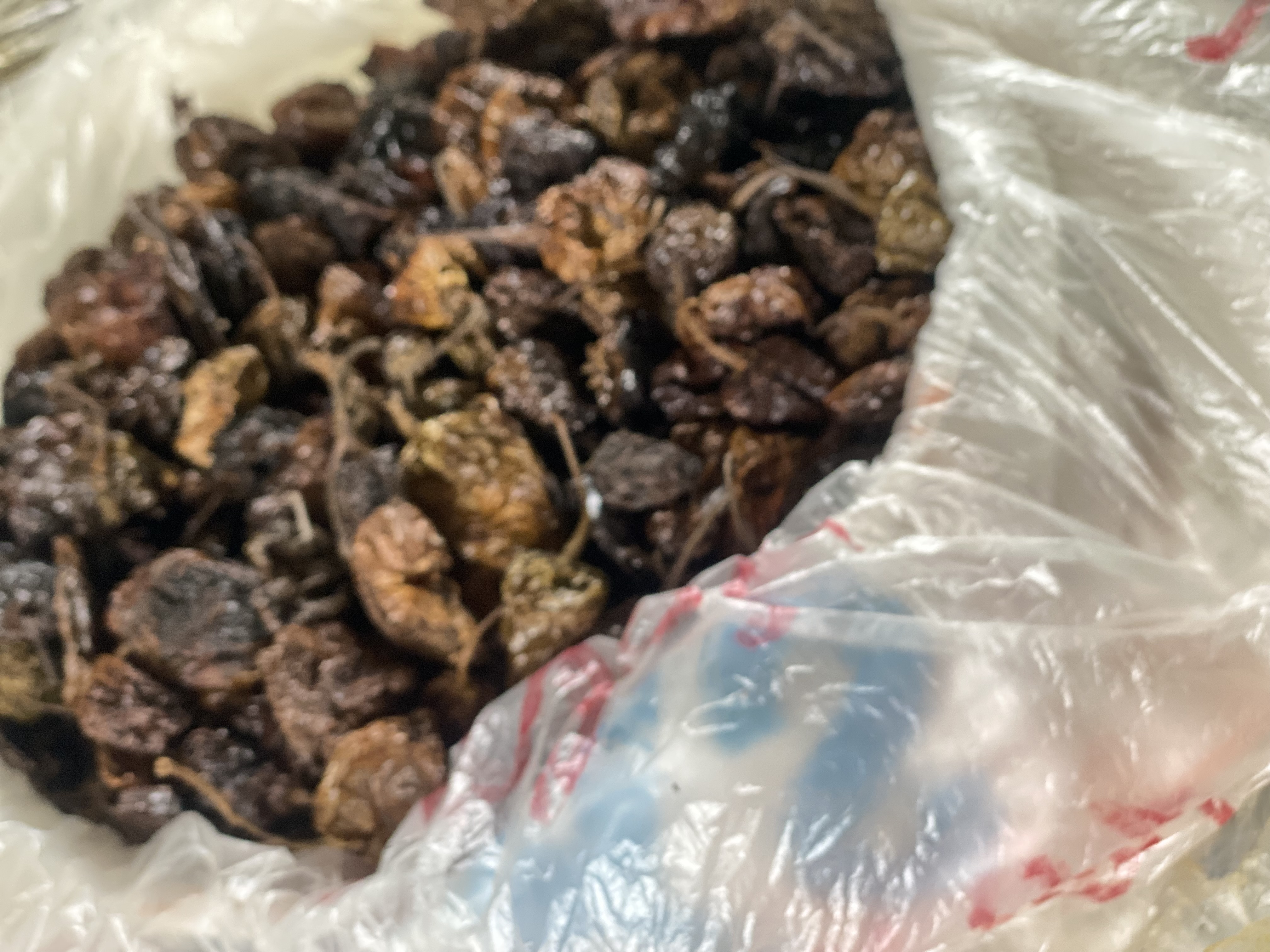 Cameroon pepper - Image 2