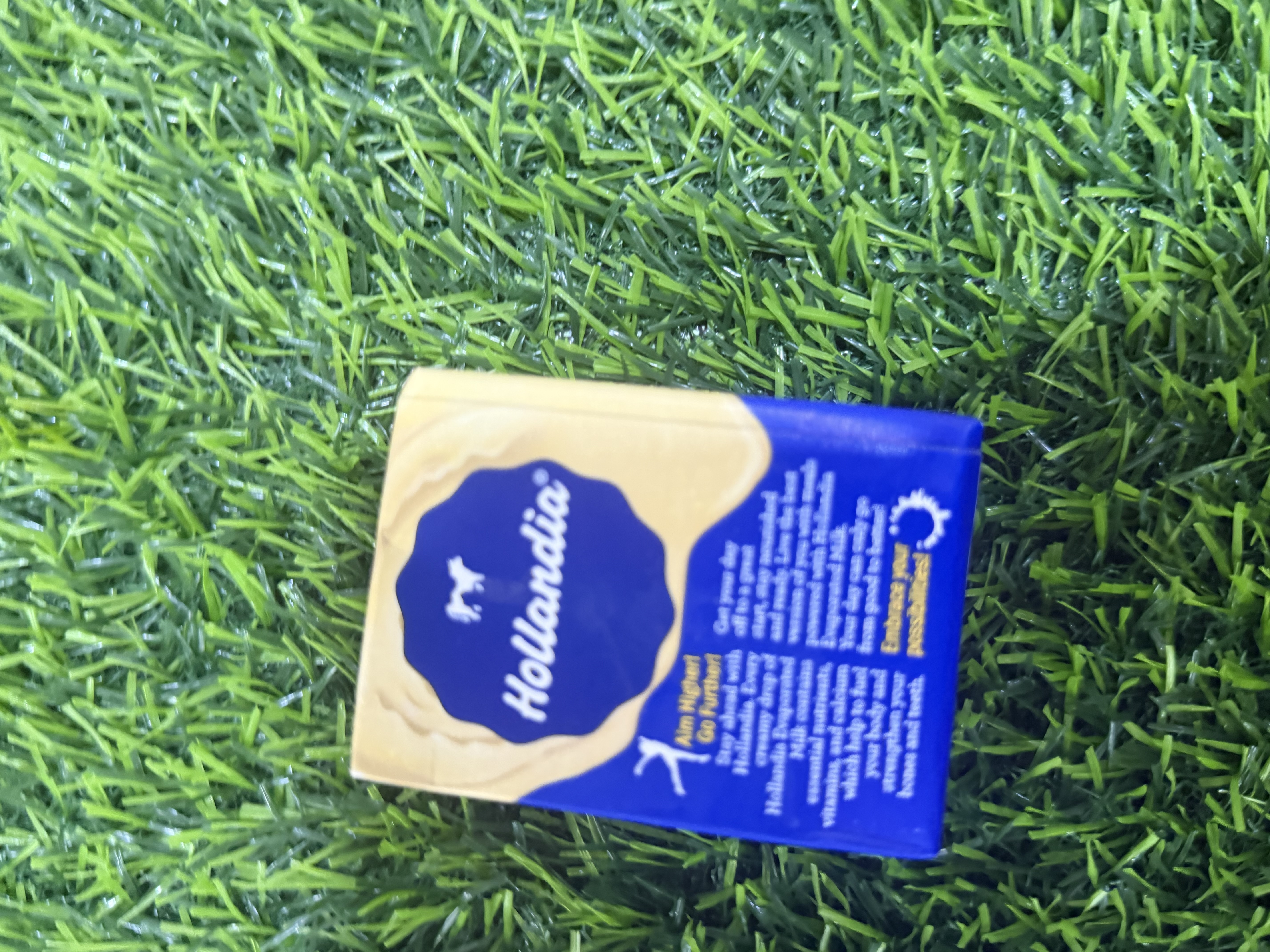 Hollandia evap (120g)