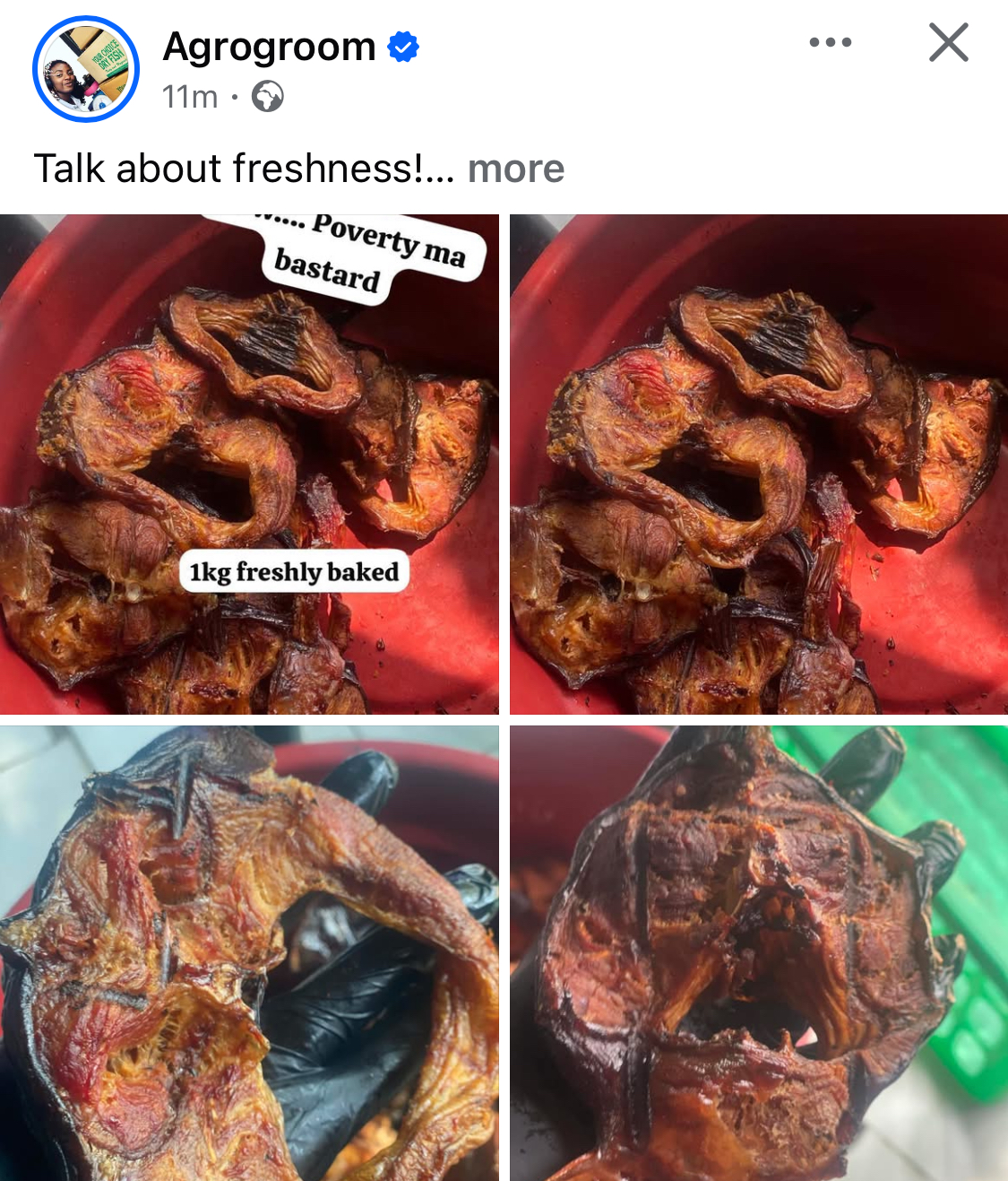 Catfish chunks - Image 7