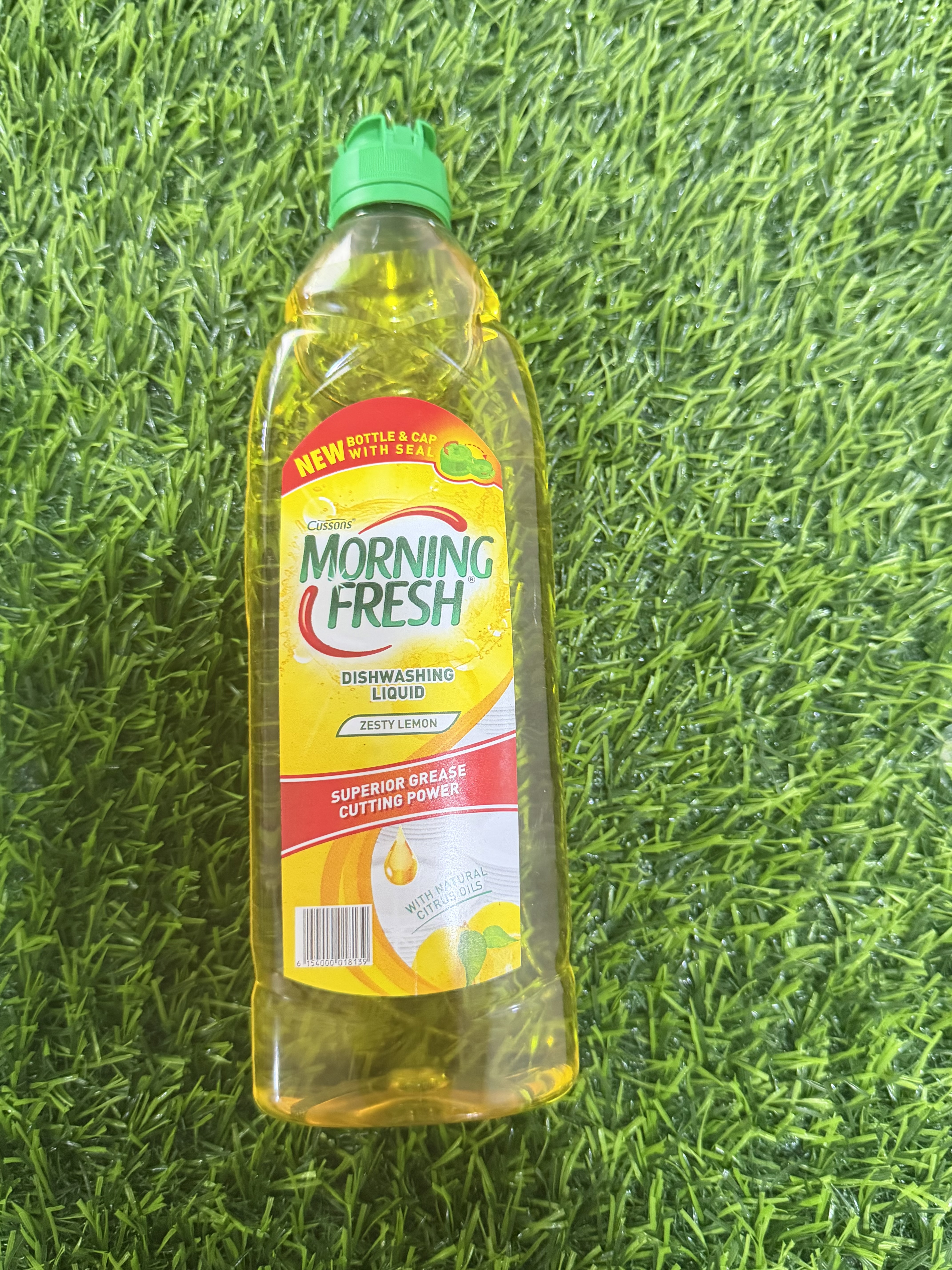 Morning fresh dish wash (450ml)